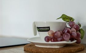 Apartamenty Andrzejczyk - Swietojanska 96
